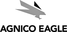 Agnico Eagle - Promine image